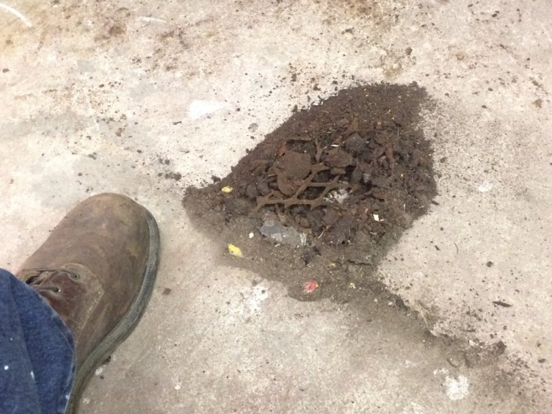 IMG_7414.JPG IMG_7414.JPG