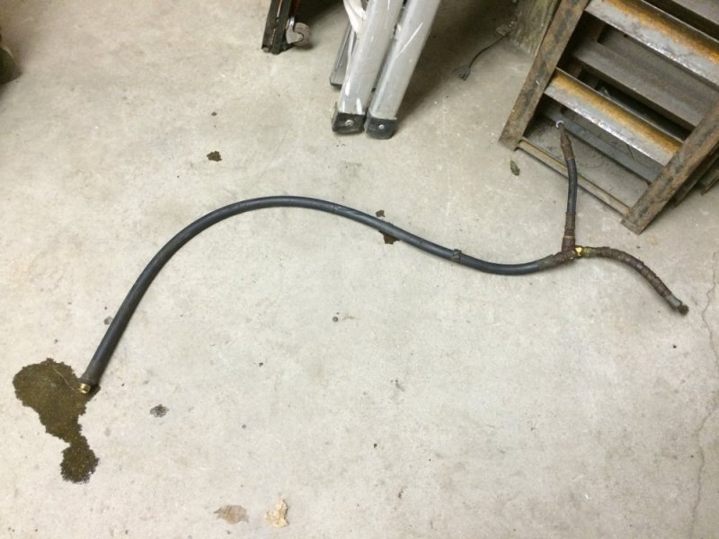 IMG_7427.JPG IMG_7427.JPG