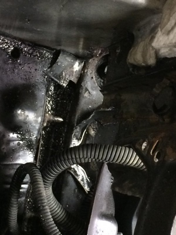 IMG_7348.JPG IMG_7348.JPG