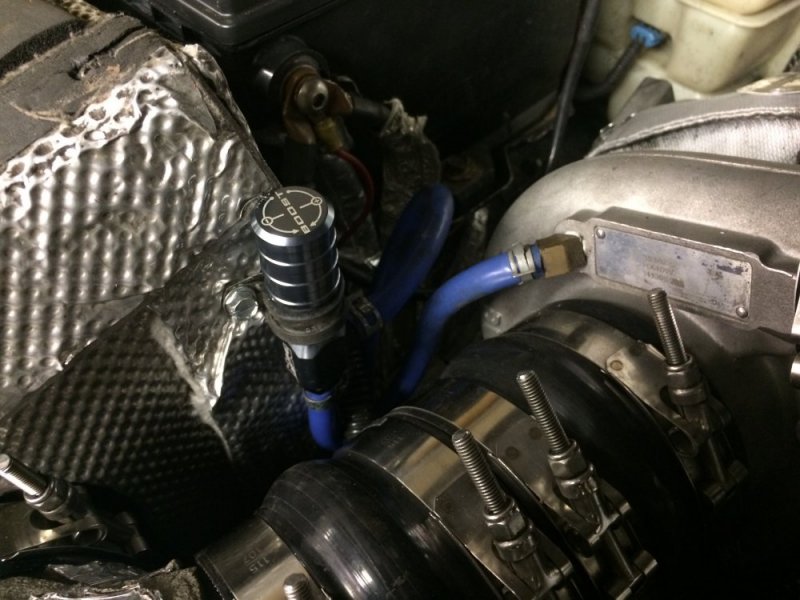 IMG_7462.JPG IMG_7462.JPG