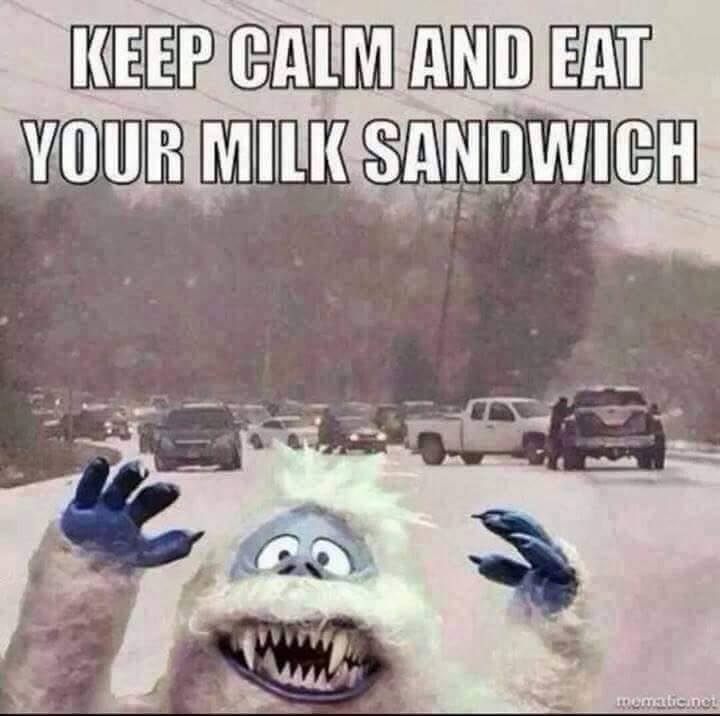 bread and milkaaaaahhhh!.jpg