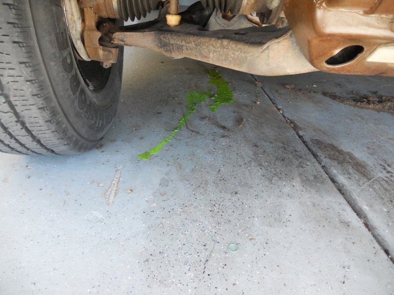 DSCN4207.JPG DSCN4207.JPG