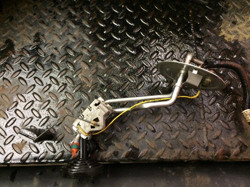 IMG_8463.JPG IMG_8463.JPG