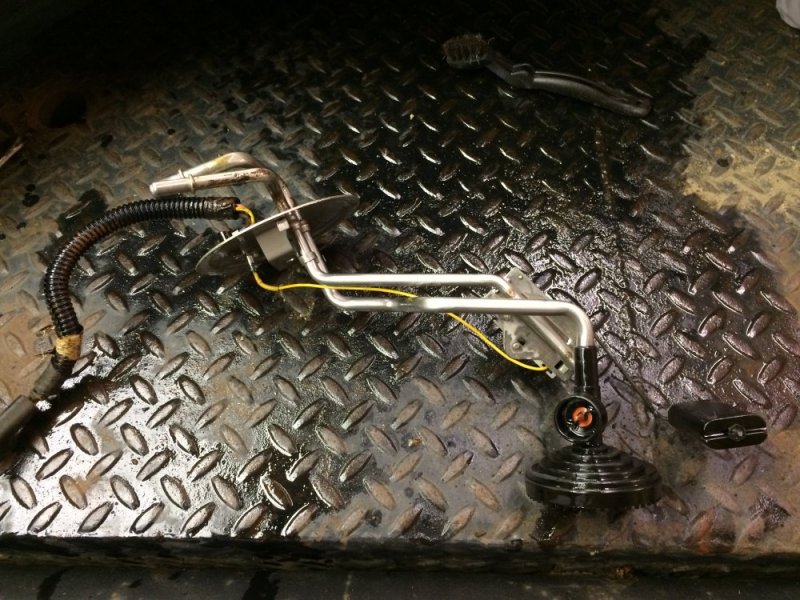 IMG_8464.JPG IMG_8464.JPG