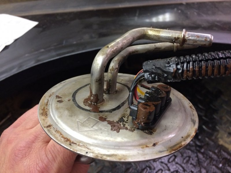 IMG_8466.JPG IMG_8466.JPG