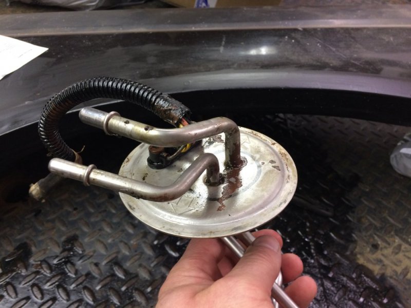 IMG_8467.JPG IMG_8467.JPG