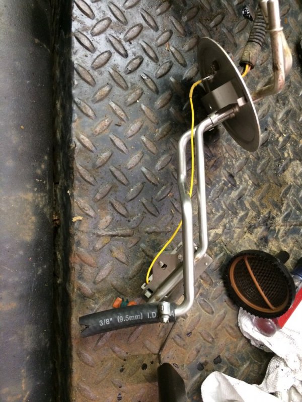 IMG_8505.JPG IMG_8505.JPG