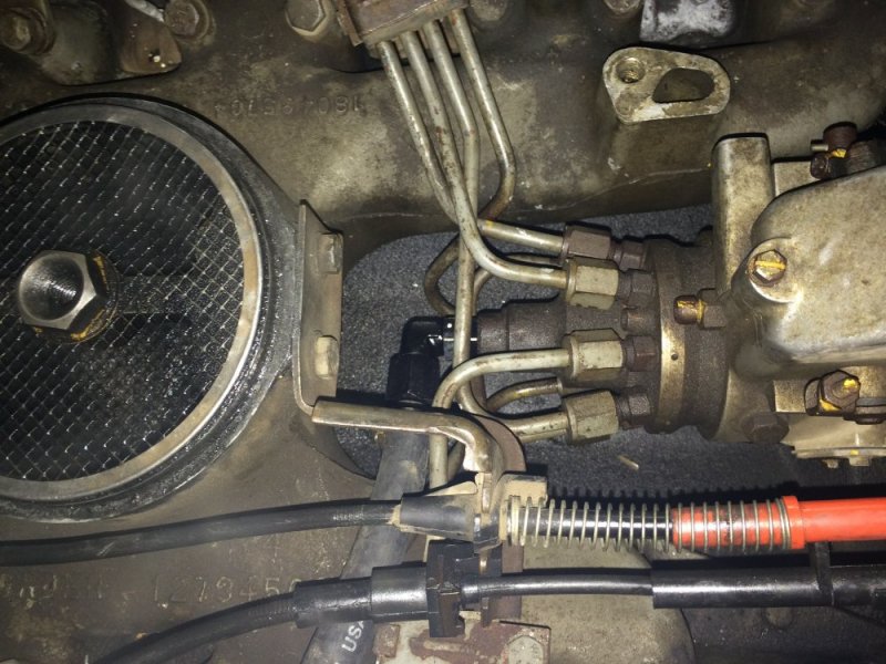 IMG_8533.JPG IMG_8533.JPG