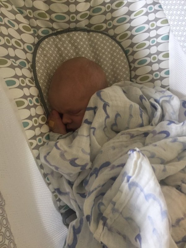 0E7D18F2-3066-408A-9512-7BD4043AF029.jpeg 0E7D18F2-3066-408A-9512-7BD4043AF029.jpeg