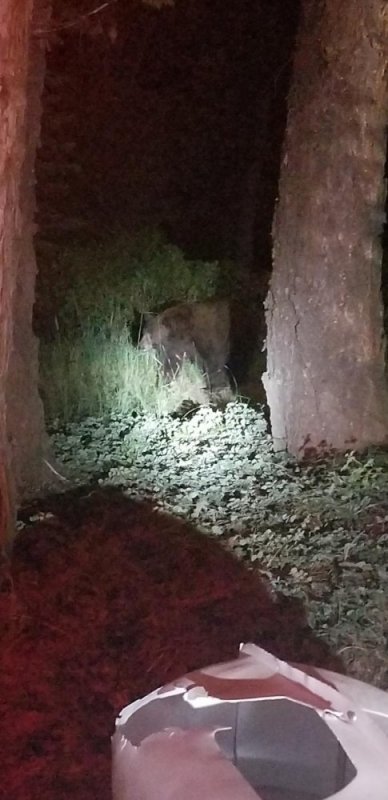 Resized_20180630_220105_4594.jpg Resized_20180630_220105_4594.jpg