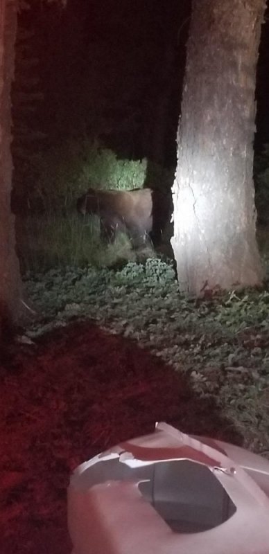 Resized_20180630_220107_3252.jpg Resized_20180630_220107_3252.jpg