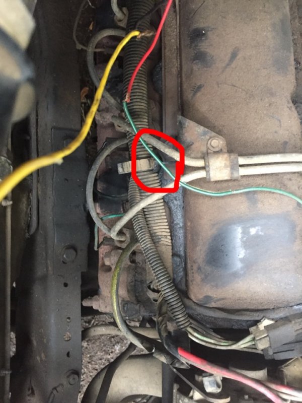 145DEE66-0C10-4517-871D-A7DE8DB61999.jpeg 145DEE66-0C10-4517-871D-A7DE8DB61999.jpeg