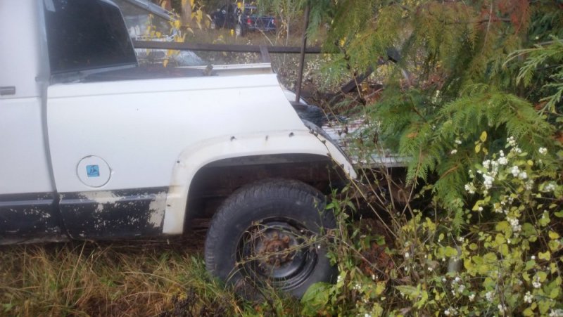 20181104_143111.jpg 20181104_143111.jpg