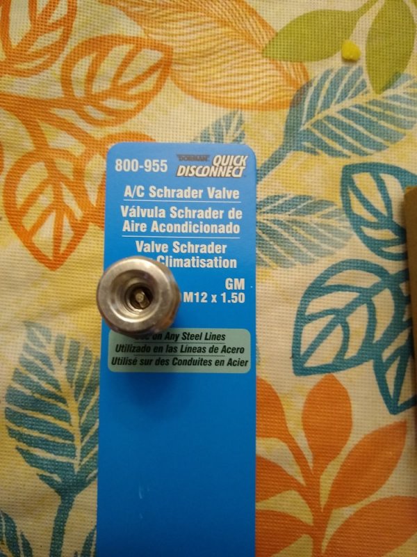 56577 56577