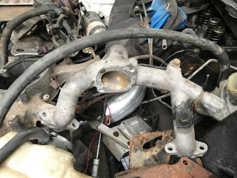 IMG_6237.jpg IMG_6237.jpg