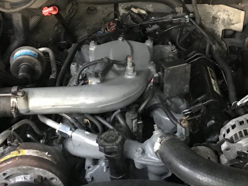 3FDC25C8-6566-414A-B906-918462460A68.jpeg 3FDC25C8-6566-414A-B906-918462460A68.jpeg