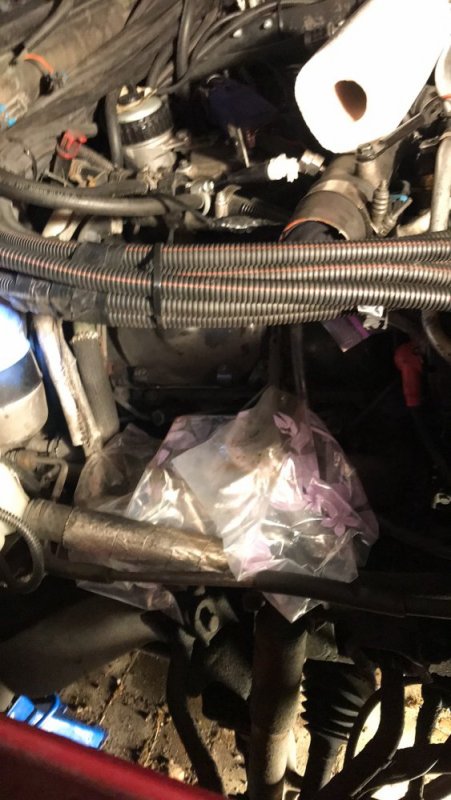 2019-12-26 16.42.05.jpg