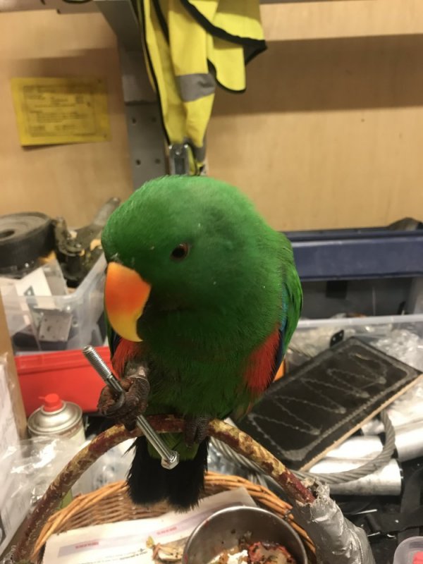 2019-12-26 22.42.29.jpg