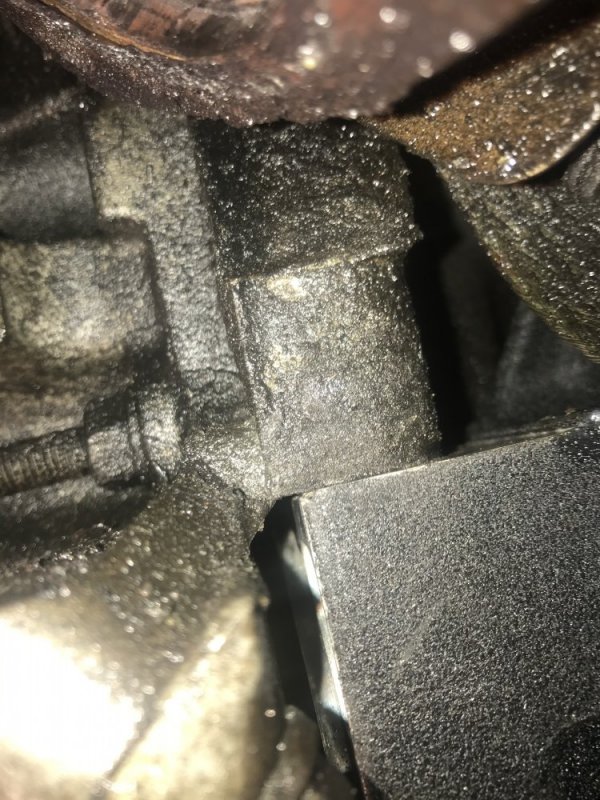 65A15A85-4B5D-4E9B-8434-989FF169C6D8.jpeg 65A15A85-4B5D-4E9B-8434-989FF169C6D8.jpeg