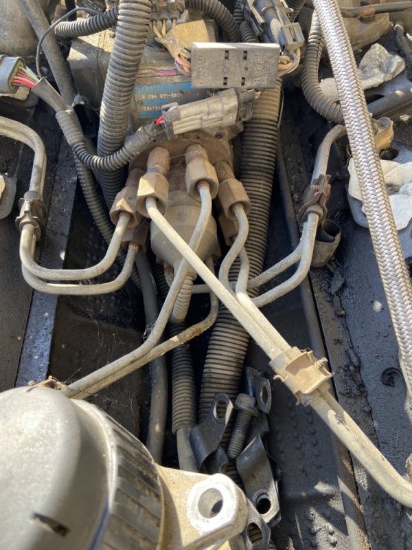 037D9996-CAFE-4292-96E2-D78077A29502.jpeg 037D9996-CAFE-4292-96E2-D78077A29502.jpeg