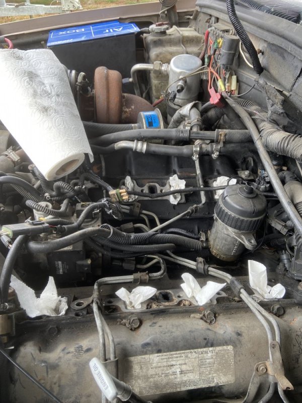 42A55B5D-E4FB-497F-97DF-342FDD57D81F.jpeg 42A55B5D-E4FB-497F-97DF-342FDD57D81F.jpeg