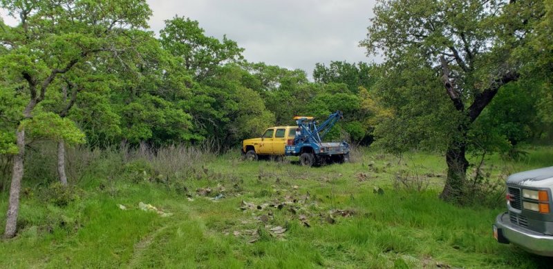 20200411_114719.jpg 20200411_114719.jpg