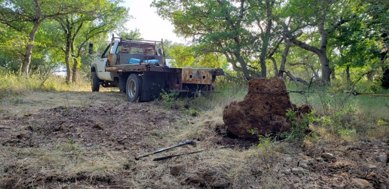 20200510_182239.jpg 20200510_182239.jpg