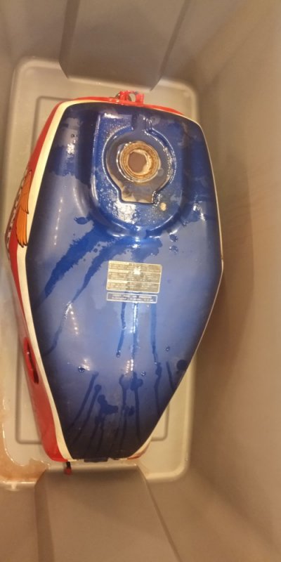 IMG_20200711_143209.jpg IMG_20200711_143209.jpg