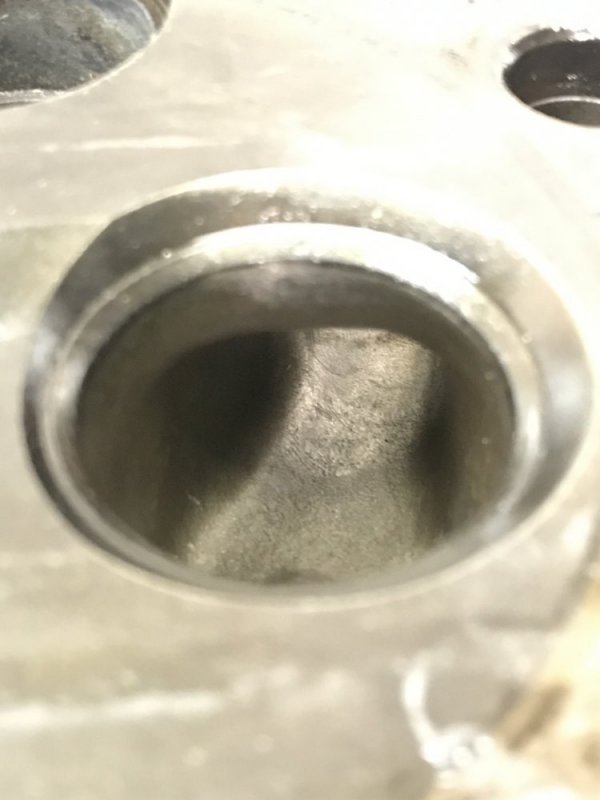 368CD509-17EB-4352-8A2C-46C610FB0F8A.jpeg 368CD509-17EB-4352-8A2C-46C610FB0F8A.jpeg