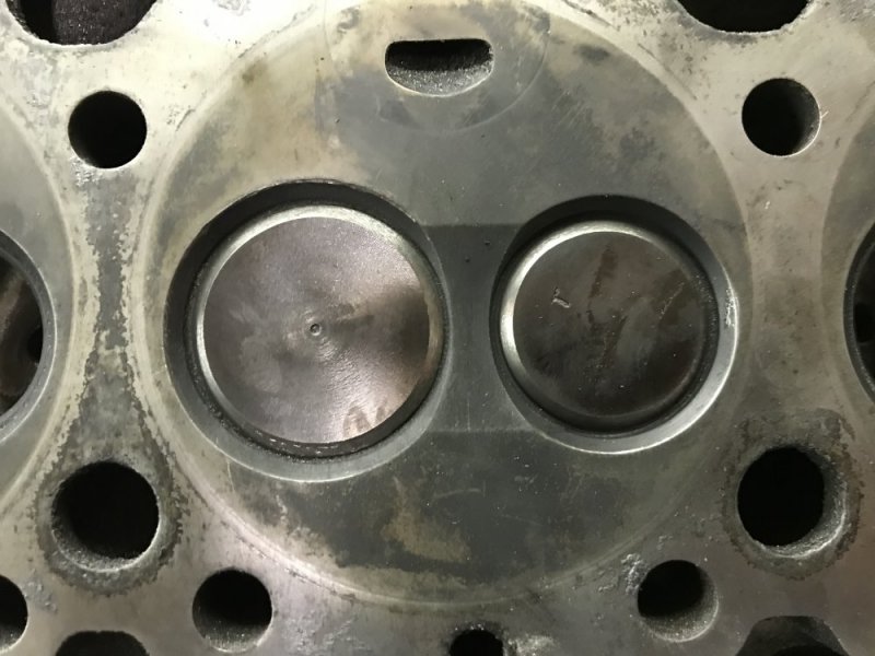 7D527F9C-459A-4165-87CA-17CD9AF7F22E.jpeg 7D527F9C-459A-4165-87CA-17CD9AF7F22E.jpeg