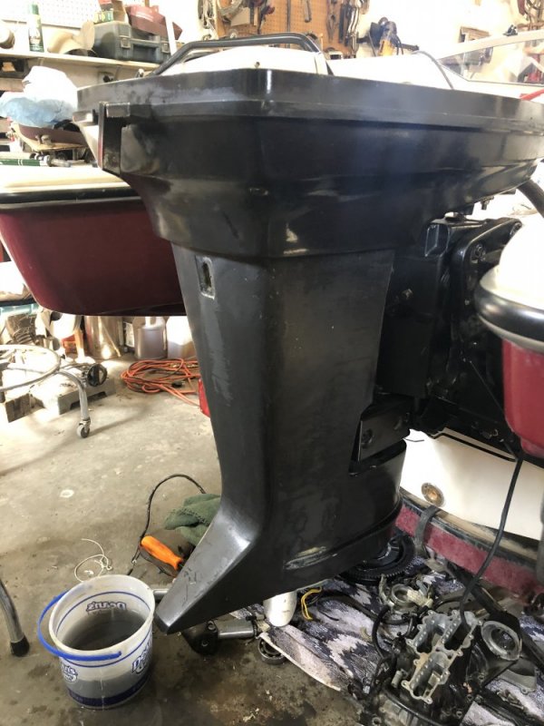 50DB6282-7506-48DB-8AFC-494C4A4579D4.jpeg 50DB6282-7506-48DB-8AFC-494C4A4579D4.jpeg