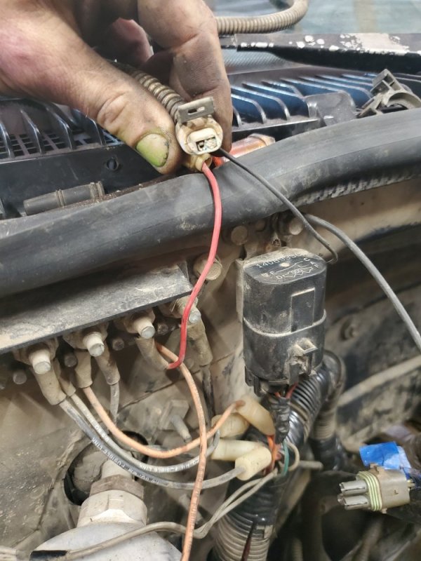 20201009_152453.jpg 20201009_152453.jpg