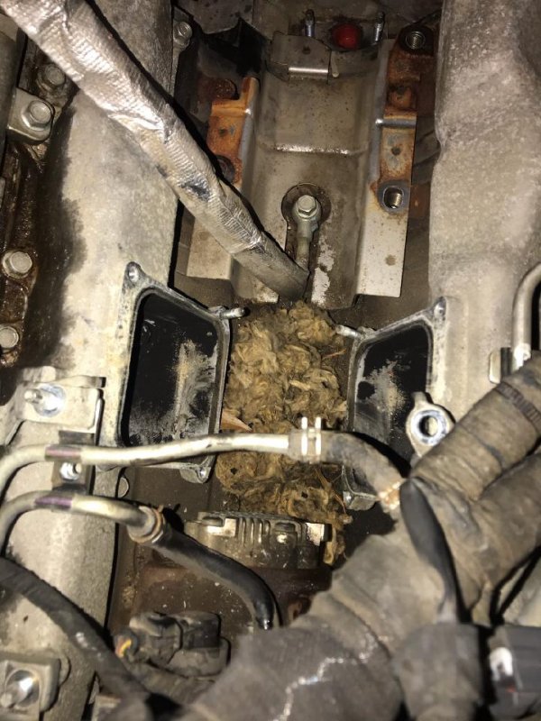 14994.jpeg 14994.jpeg