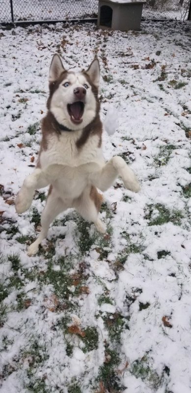 20201202_111306.jpg 20201202_111306.jpg