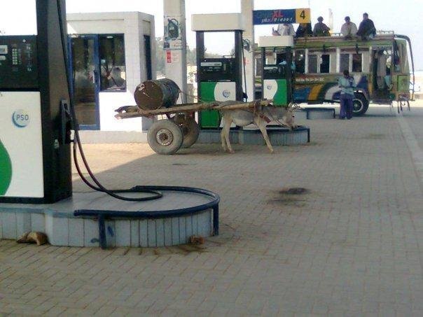 Donkey-Cart-On-Petrol-Pump.jpg