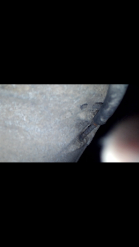 Screenshot_20210405-202116.png Screenshot_20210405-202116.png