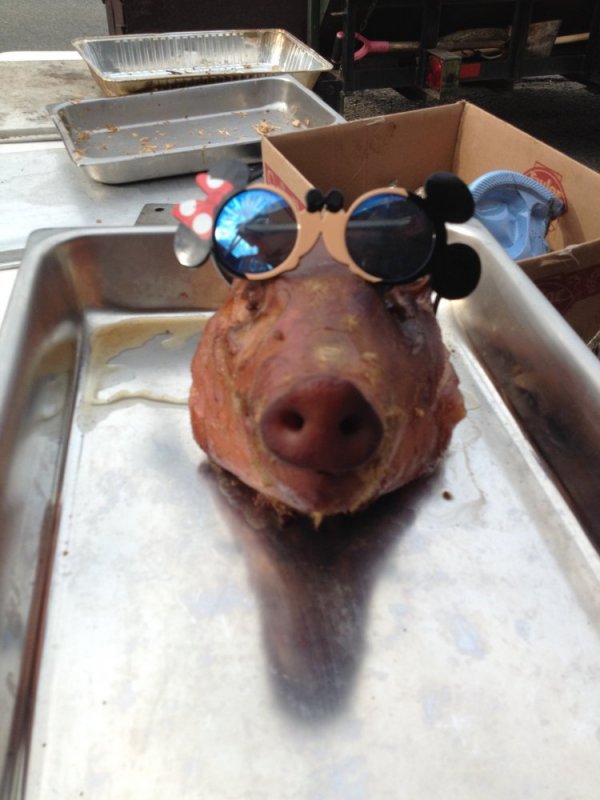 IMG_0792.JPG IMG_0792.JPG