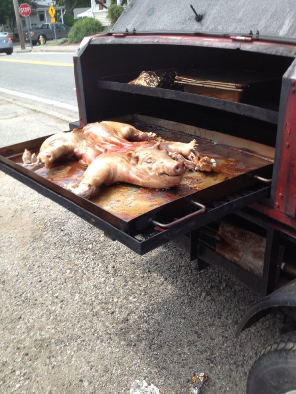 IMG_0790.JPG IMG_0790.JPG