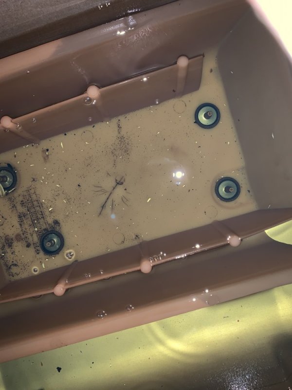 IMG_1814.jpg IMG_1814.jpg