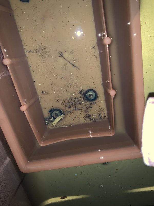 IMG_1815.jpg IMG_1815.jpg