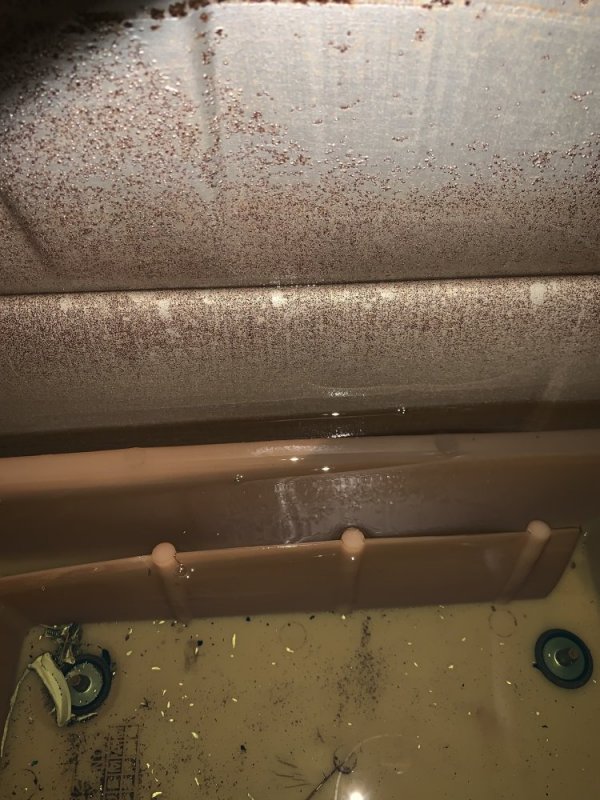 IMG_1816.jpg IMG_1816.jpg