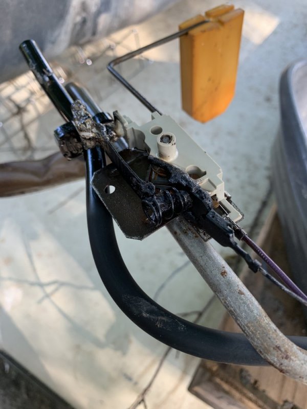 IMG_1818.jpg IMG_1818.jpg