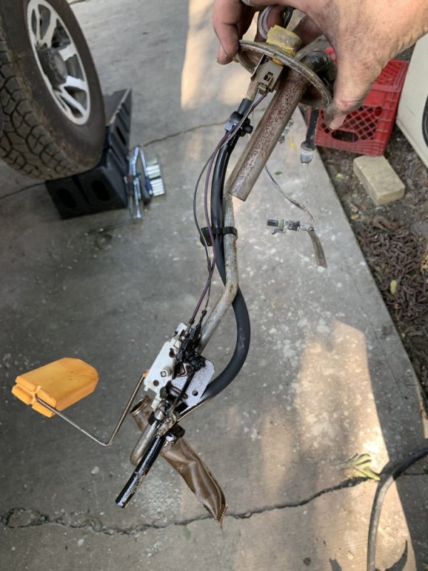 IMG_1819.jpg IMG_1819.jpg