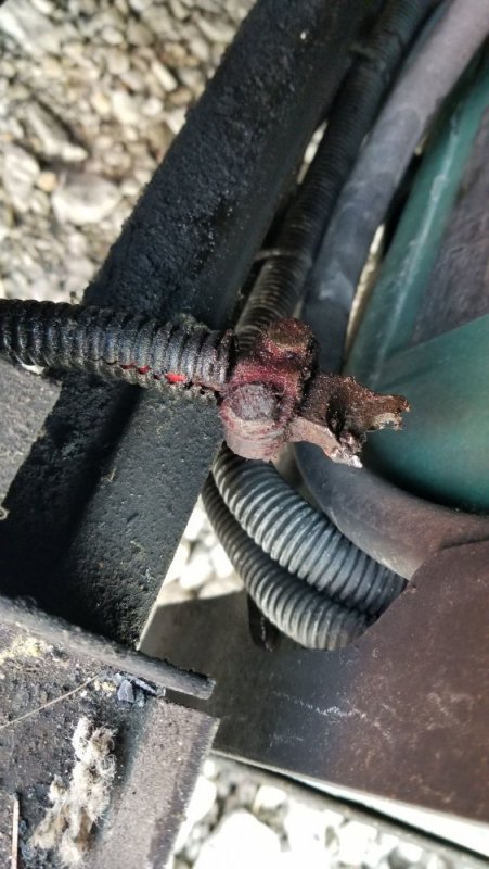 20210804_132352.jpg 20210804_132352.jpg