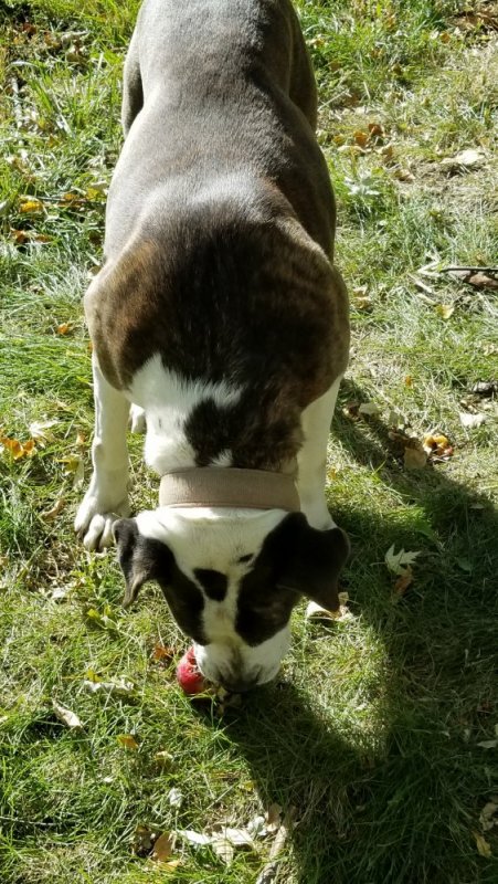 20191022_150616.jpg 20191022_150616.jpg