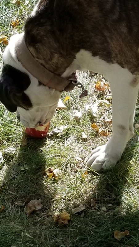 20191022_144836.jpg 20191022_144836.jpg