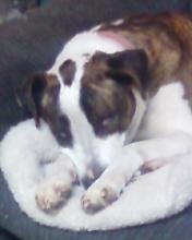 SSPX0599.jpg SSPX0599.jpg