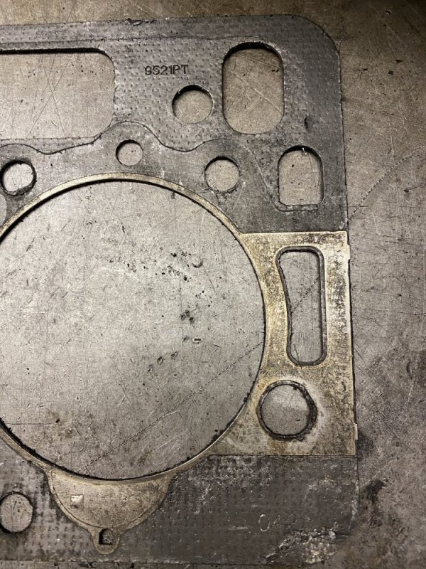 ED146309-22C4-4386-A0A9-D1EBA04F15E3.jpeg ED146309-22C4-4386-A0A9-D1EBA04F15E3.jpeg