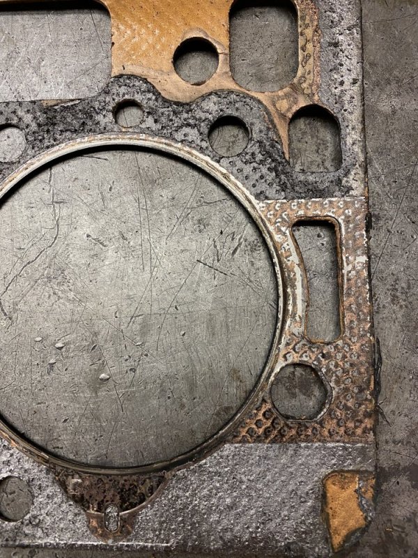 1BD111D3-58AA-4CD4-A284-0B5DC4D4ED7F.jpeg 1BD111D3-58AA-4CD4-A284-0B5DC4D4ED7F.jpeg