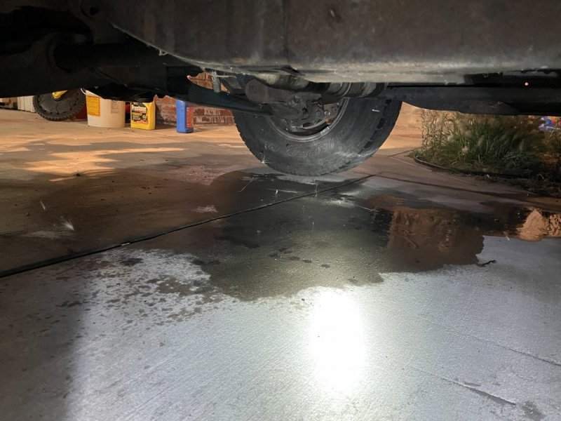 IMG-6471.jpg IMG-6471.jpg